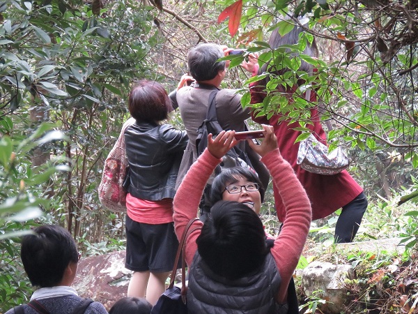 IMG_7109.JPG IMG_7109.JPG