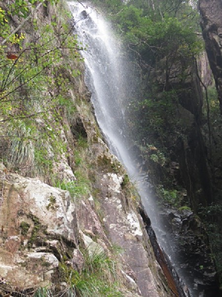 01-1510627614-121325.jpg 01-1510627614-121325.jpg