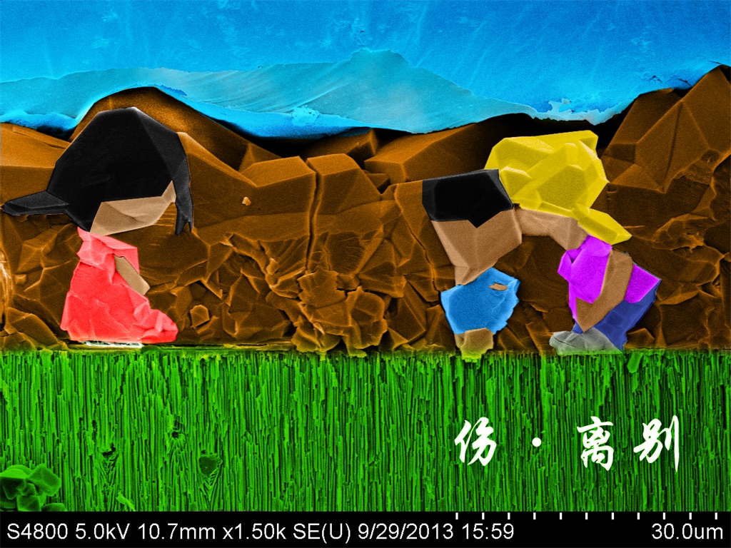 第五届 特等奖 侯雅君 伤•离别——MOFs水热二次生长断面.jpg